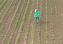 More Than a Pretty Picture: ADAMA is Using Drone Imagery Analysis to Bring More Value to Farmers