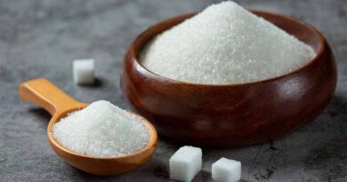 Indian sugar exports at 7 million tons YTD, may touch 9 million tons: ISMA