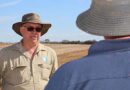Australia: Maintain vigilance to protect winter crops from mice