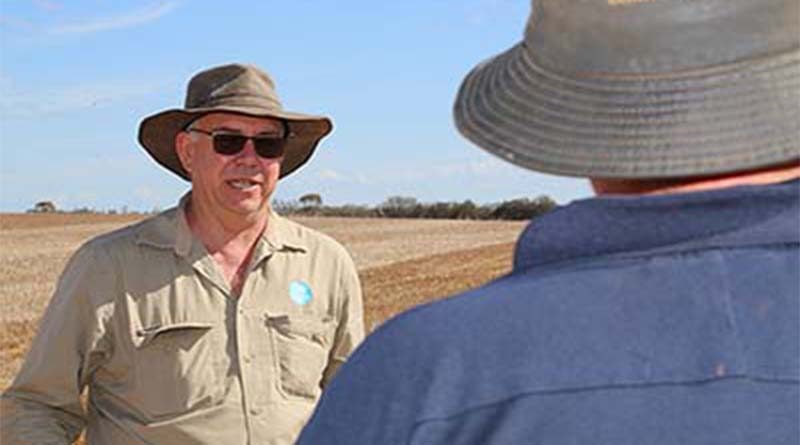 Australia: Maintain vigilance to protect winter crops from mice