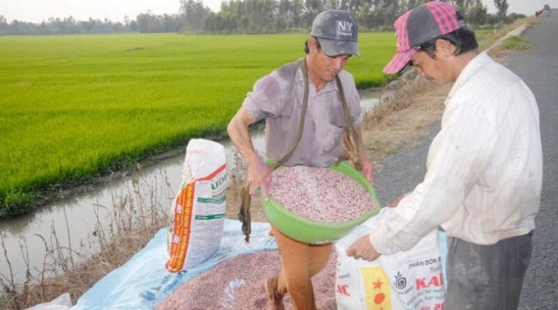 MARD proposes law amendment as fertilizer price surge