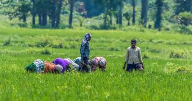 Organic farming is beneficial for small and marginal farmers says Vice President Venkaiah Naidu