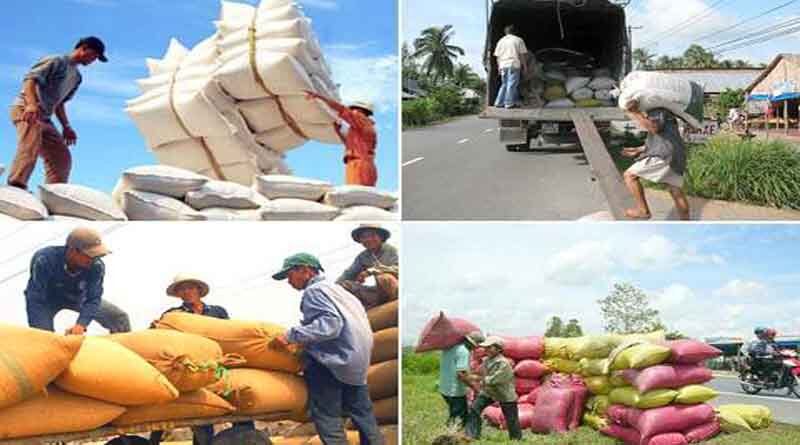 Export of agro-products in the first 5 months estimated at 23.2 billion USD
