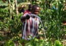 Global Environment Facility approves $18 million to support FAO-led projects in Africa and Latin America