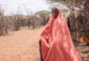Drought in the Horn of Africa: FAO appeals for $172 million to help avert famine and humanitarian catastrophe