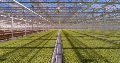 Little Leaf Farms Raises $300 Million in Capital with Financing from TPG's The Rise Fund and Bank of America