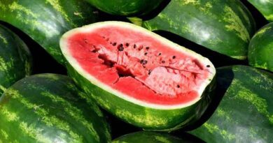 New study highlights challenges to pumpkin and watermelon production in Uganda