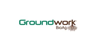 ADAMA & Groundwork BioAg to offer Mycorrhizal Product Tormos™ for Indian Farmers