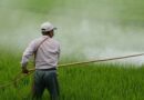 Request to the Indian government to reduce the GST on pesticides to 5 percent