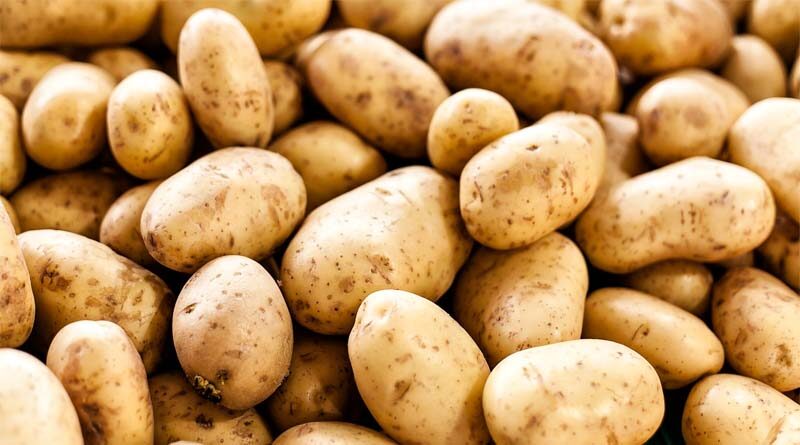 Chinese scientists make notable discovery on potato genome sequences