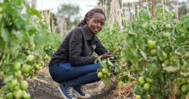 Students invited to enrol for courses in Integrated Crop Management