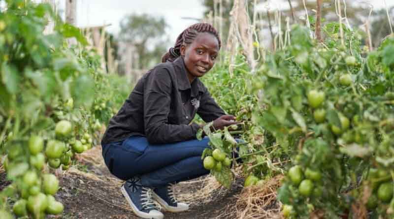 Students invited to enrol for courses in Integrated Crop Management