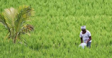 Final summer crop acreage in India at 76.41 lakh hectares