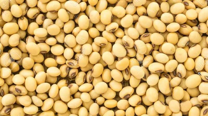 When is the best time to do seed treatment in soybean