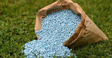 TerraNu® fertilizers can reduce nitrogen fertilizer demands by 20 percent Category - Crop Nutrition