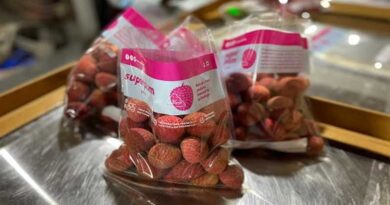 Superplum Designs and Rolls out India's First Modern Litchi Supply Chain