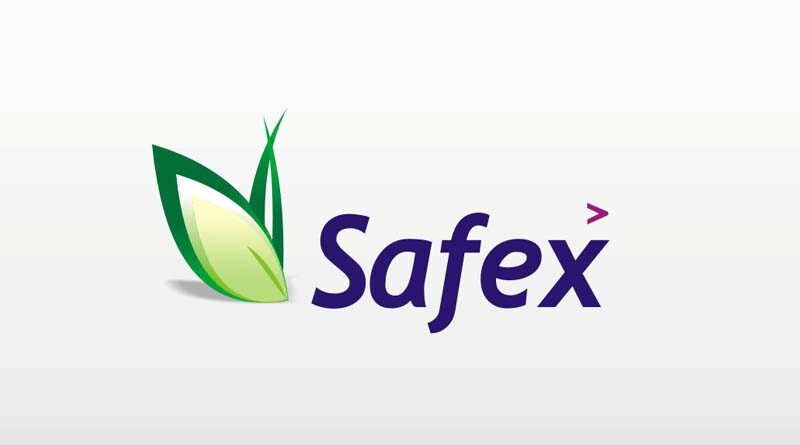 Safex Chemicals declared FY21 results, clocks INR 782 Cr revenue