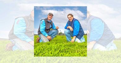 Northern: Committed growers support hardy pasture legume revolution