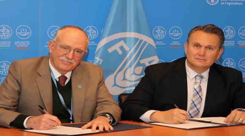FAO and CGIAR work to further science and innovation in agrifood systems in Latin America and the Caribbean