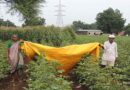 WOTR organizes educational webinar series; guides farmers to combat Irregular Monsoon