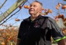 Persimmons part of growth plan