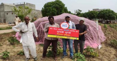 Mating disruption PBKnot technology to manage Pink Bollworm in North India