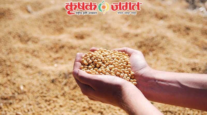 Farmers who have not sown soyabean yet advised not to do so now