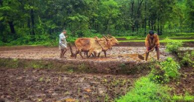 Benefits for India farmers by Government of India on availing loan facility