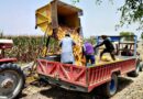 Maize cob picker helps increase efficiency of harvests in rural Punjab, Pakistan