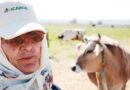 Securing a legacy for the ifad conservation agriculture and crop livestock project