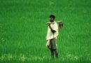 Progress in Doubling Farmers Income