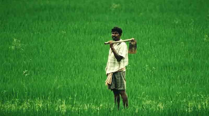 Progress in Doubling Farmers Income