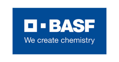 BASF’s IrgaCycle™ stabilizes recycled plastics used to protect pineapples from sunburn in Malaysia