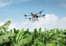 Syngenta India gets approval to spray its fungicide Amistar Top through drone