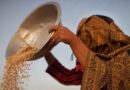 Afghanistan: FAO intensifies support to most vulnerable smallholder farmers affected by drought and earthquake