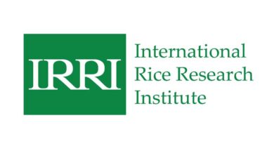 IRRI and CAAS jointly set up the Sanya International Rice Resource and Breeding Center in Hainan