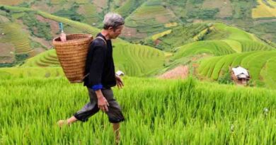 China: Measures counter food security risks