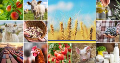European Commission publishes its latest short-term outlook for EU agricultural markets amidst global food security concerns