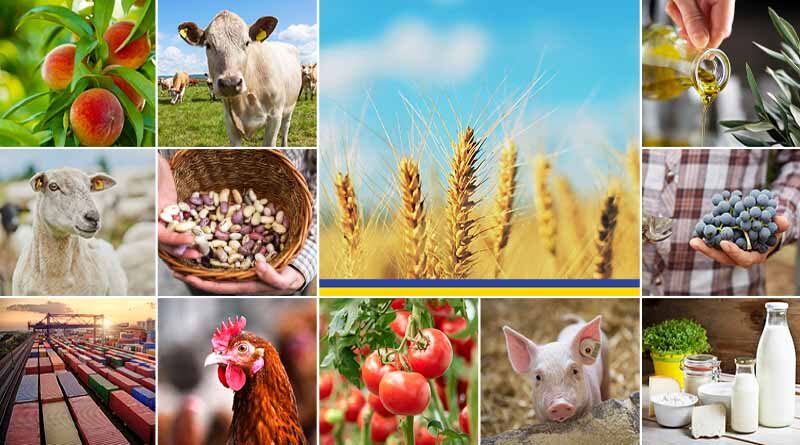 European Commission publishes its latest short-term outlook for EU agricultural markets amidst global food security concerns