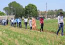 Researchers plan transformation of agrifood systems in South Asia