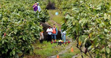 XAG Drone Supports Cacao Farm to Fight Diseases during Rainy Spells