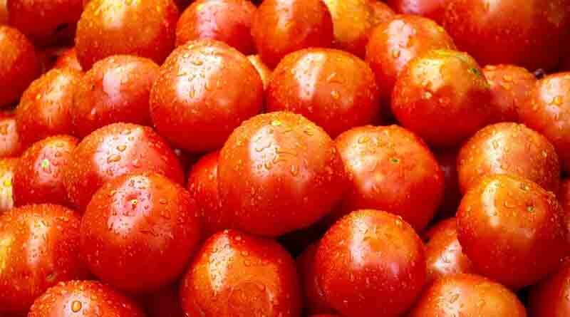 Tomato hybrid variety