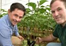 Vegetable crop IPM surging with new friendly insecticides