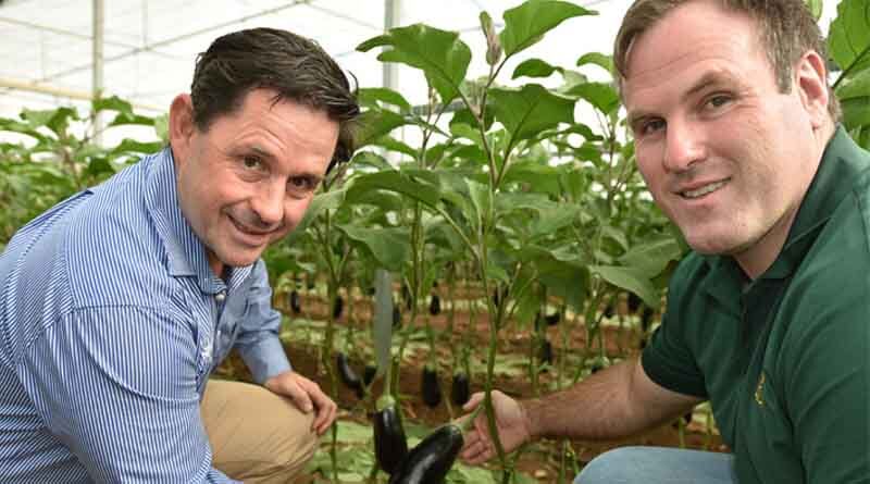 Vegetable crop IPM surging with new friendly insecticides