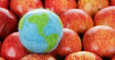Sanitary and Phytosanitary measures: Challenges and opportunities in Asia and the Pacific region