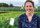 Annice Firth appointed to Syngenta Technical Sales team