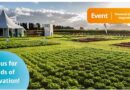 Fields of Innovation showcases veg crops, technology, and emerging opportunities