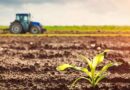 Yara Growth Ventures invests in Sabanto Ag - an emerging leader in autonomous agricultural equipment