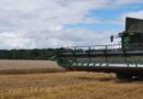 Official Harvest Results: Wheat Update