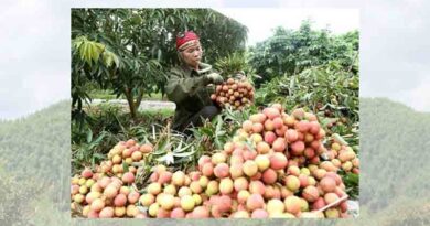 Agro-forestry and fishery exports in July 2022 were estimated at 4.76 billion USD